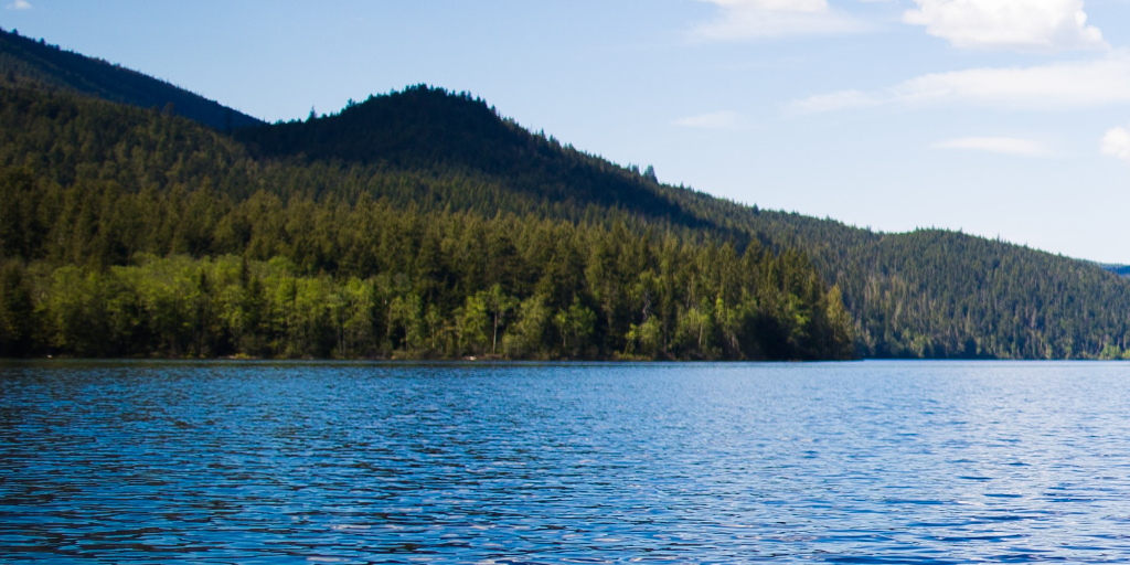 Drought. Photo by Fabrice Nerfin on Unsplash_edit