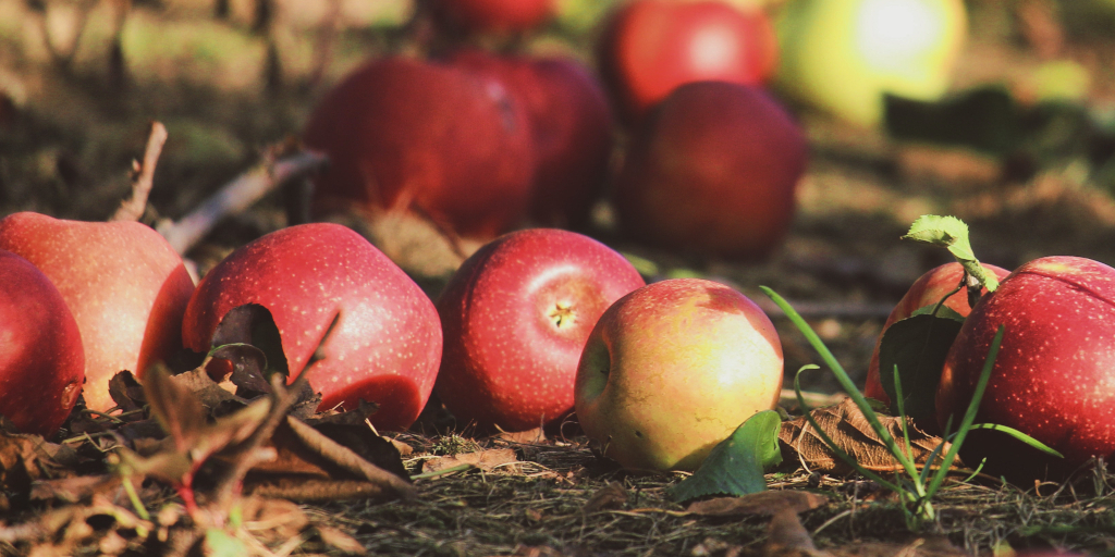 On Higher Ground. Photo by Tyler Rutherford on Unsplash_edit