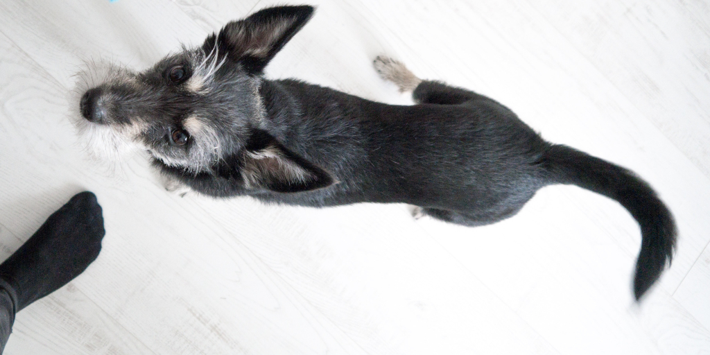 An-ever-fixed-mark. Photo by Viktor Nikolaienko on Unsplash