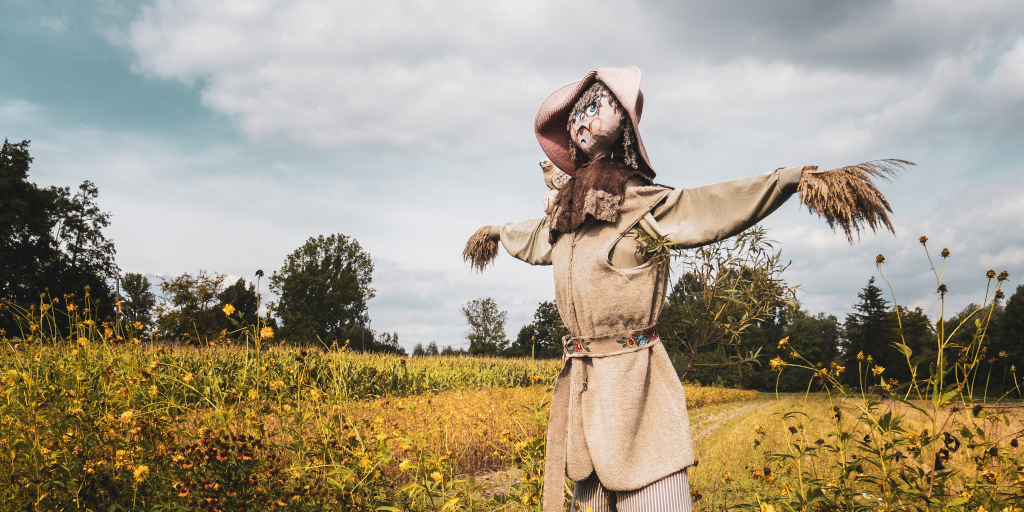 Watching Shadow. Photo by Mateusz Raczynski on Unsplash. Shows a scarecrow in a field.